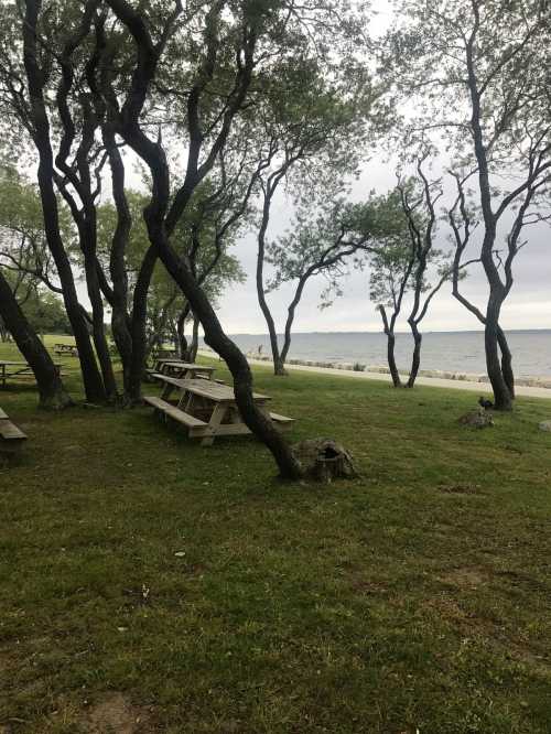 A serene lakeside scene with picnic tables under trees, grassy area, and a cloudy sky in the background.