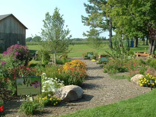 A vibrant garden path lined with colorful flowers, leading to a rustic barn and open fields in the background.