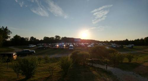 A sunset over a crowded outdoor parking lot, with cars parked in a grassy area and trees in the background.