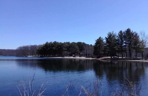 A serene lake surrounded by trees under a clear blue sky, reflecting the landscape on the water's surface.