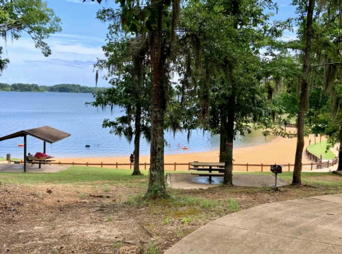 A serene lakeside view with sandy beach, trees, and a picnic area under a clear blue sky.