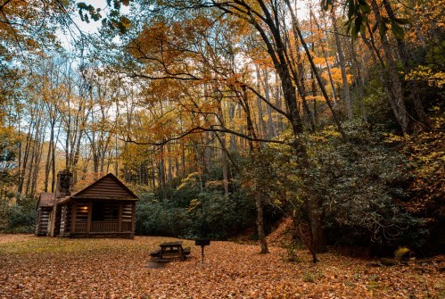 A rustic cabin surrounded by vibrant autumn foliage and a carpet of fallen leaves in a serene forest setting.