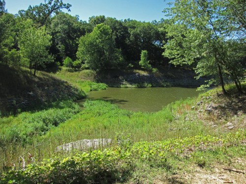 A serene pond surrounded by lush greenery and trees under a clear blue sky.