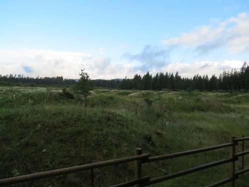 A scenic view of a grassy landscape with trees and a cloudy sky in the background.