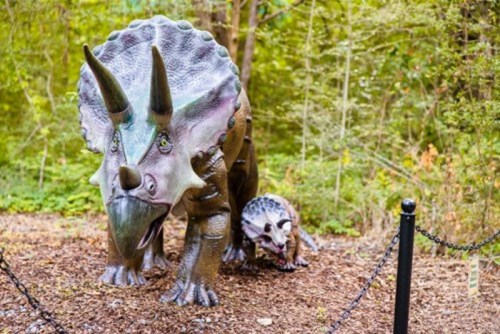 A colorful triceratops sculpture with a smaller dinosaur beside it, set in a lush, green outdoor environment.