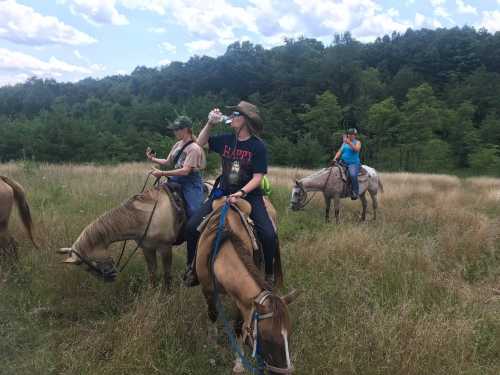 Three people on horseback in a grassy field, enjoying a sunny day and taking a break to drink water.