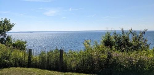 A serene view of a calm lake surrounded by lush greenery under a clear blue sky.