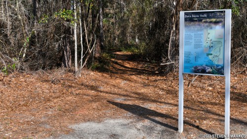 A trail sign for Davis Bayou Trails beside a wooded path covered in pine needles.