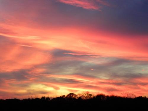 A vibrant sunset with pink, orange, and purple hues blending in the sky above a dark silhouette of trees.