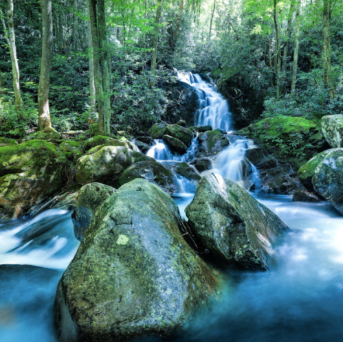 A serene waterfall cascades over moss-covered rocks in a lush green forest.