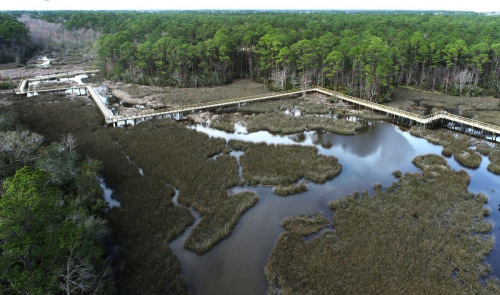 Aerial view of a wooden boardwalk winding through a marsh with tall grasses and trees in the background.