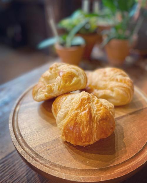 Three golden croissants on a wooden platter, with green plants in the background.