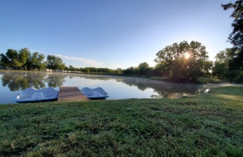 A serene pond at sunrise, with a wooden dock and paddle boats, surrounded by lush greenery and mist.