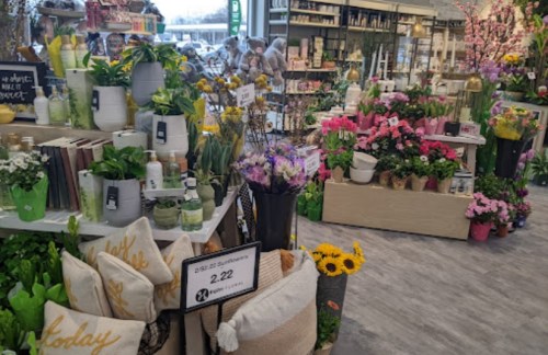 A vibrant flower shop filled with various plants, flowers, and decorative items, creating a colorful and inviting atmosphere.