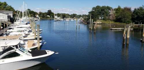 A serene marina with boats docked along a calm waterway, surrounded by trees and a clear blue sky.