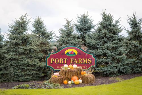 Sign for Port Farms surrounded by evergreen trees and decorated with pumpkins and hay bales.