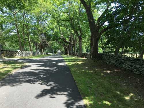 A peaceful pathway lined with lush green trees and stone walls, creating a serene outdoor setting.