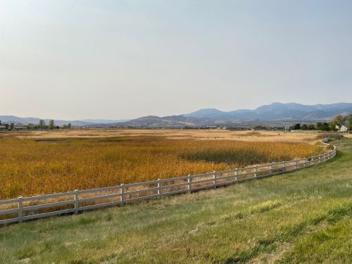 A scenic view of a golden field bordered by a white fence, with mountains in the background under a clear sky.
