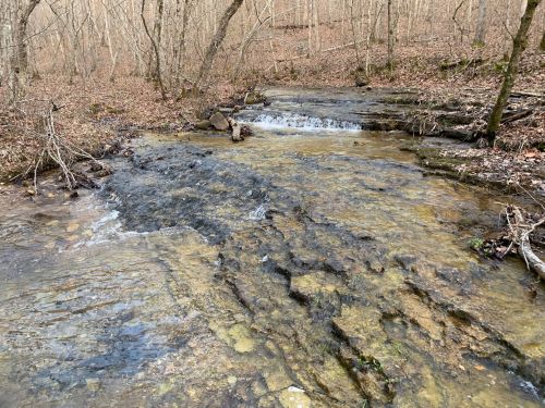 A serene stream flows over rocky terrain in a wooded area, surrounded by bare trees and fallen leaves.