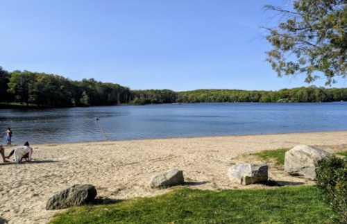 A serene beach scene with a sandy shore, calm water, and green trees under a clear blue sky.