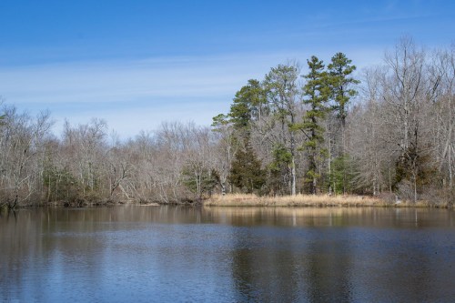 A calm lake surrounded by bare trees and evergreens under a clear blue sky.