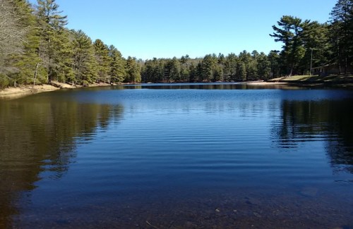 A calm lake surrounded by trees under a clear blue sky, reflecting the serene landscape.