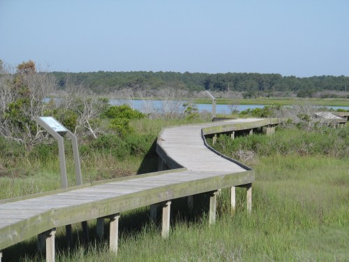 A winding wooden boardwalk through lush green marshland, with a calm waterway in the background.