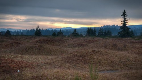 A misty landscape with rolling hills, sparse trees, and a cloudy sky at sunset, creating a serene atmosphere.