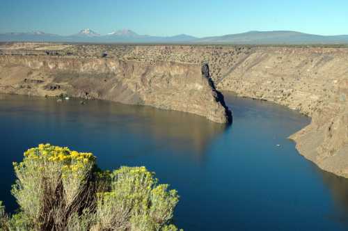 A scenic view of a river winding through rocky cliffs, with distant mountains and yellow flowers in the foreground.