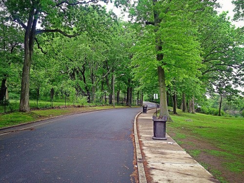 A peaceful park scene featuring a winding road lined with lush green trees and a grassy area.