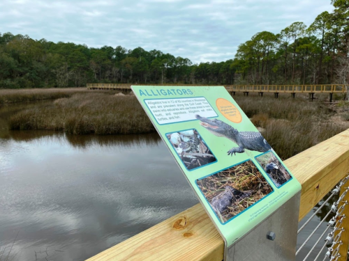 A sign about alligators near a wetland, with a wooden walkway and trees in the background.