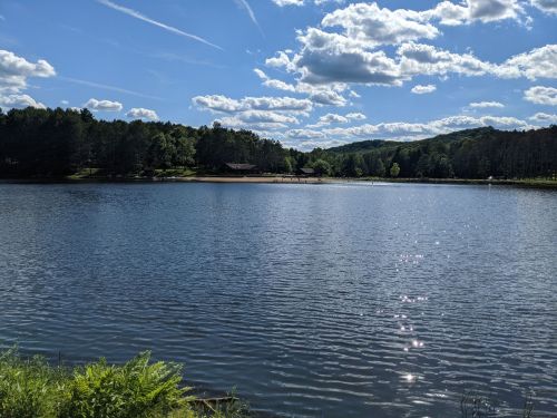 A serene lake surrounded by trees under a blue sky with fluffy clouds, reflecting sunlight on the water's surface.