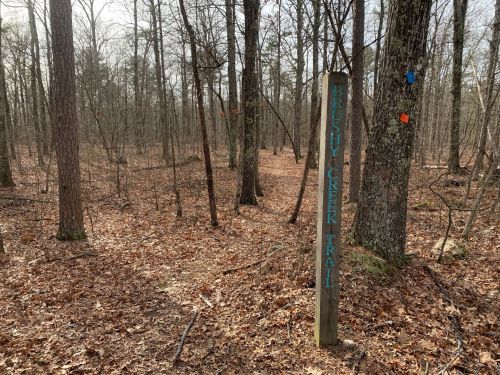 A wooded trail with a sign reading "Brushy Creek Trail" amidst leaf-covered ground and bare trees.