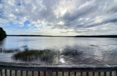 A serene lake view with calm waters, grassy patches, and a cloudy sky reflecting on the surface.