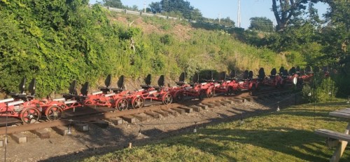 A row of red rail bikes lined up on a track, surrounded by greenery and trees.