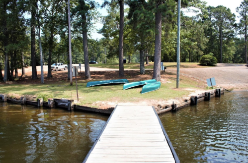 A wooden dock extends over calm water, with green canoes on the shore and trees in the background.