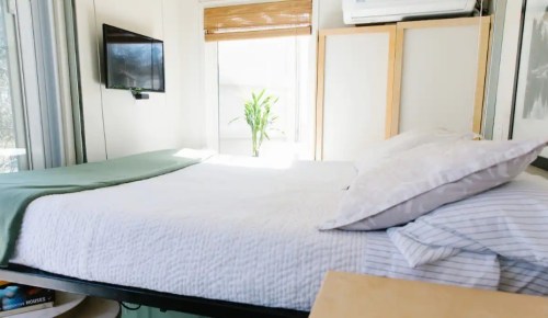 Cozy bedroom with a bed, green blanket, TV on the wall, and a plant by the window. Bright and minimalist design.