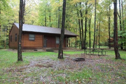A wooden cabin surrounded by trees in a grassy area, with a picnic table nearby.