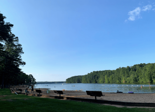 A serene lake scene with a sandy beach, surrounded by trees and a clear blue sky. People are enjoying the water.