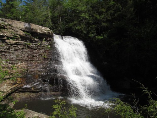 A cascading waterfall flows over rocky cliffs, surrounded by lush green trees and foliage.