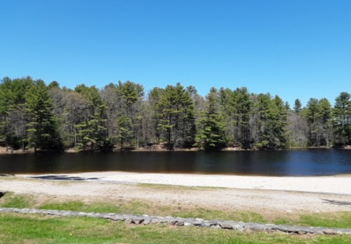 A serene lake surrounded by trees under a clear blue sky, with a sandy shore in the foreground.