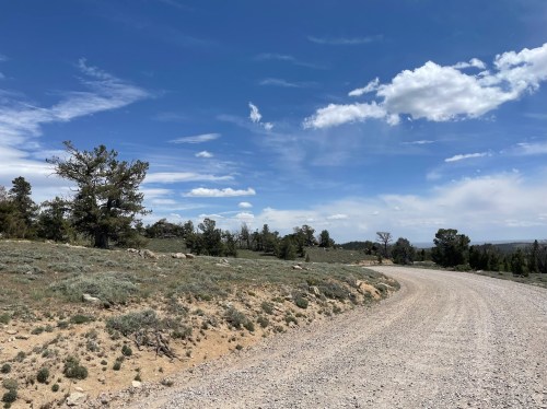 A gravel road winds through a grassy landscape under a blue sky with scattered clouds and distant trees.