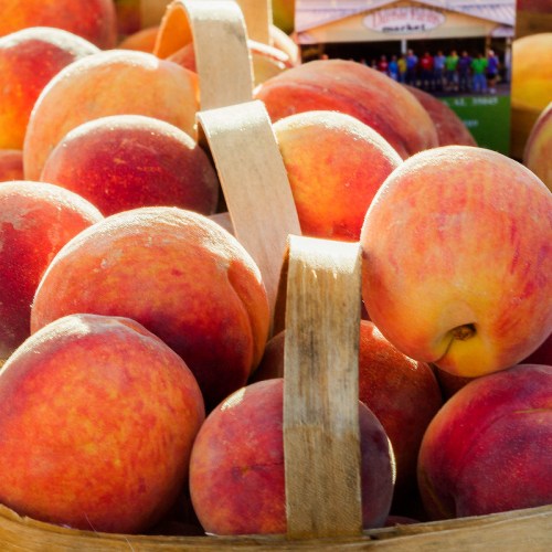 A close-up of fresh, ripe peaches in a wooden basket, showcasing their vibrant colors and smooth textures.