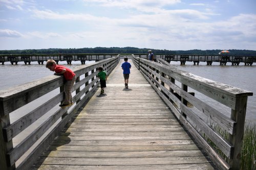 Three children play on a wooden pier over water, with a cloudy sky and distant trees in the background.