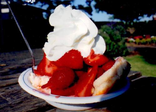A bowl of strawberry shortcake topped with whipped cream, sitting on a wooden surface with a blurred garden background.