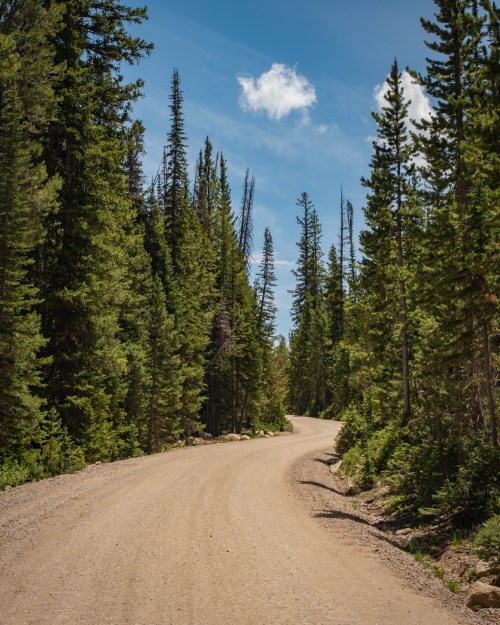 A winding dirt road surrounded by tall green trees under a blue sky with a few clouds.