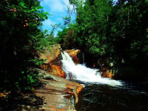 A serene waterfall cascades over rocks, surrounded by lush green trees and a clear blue sky.