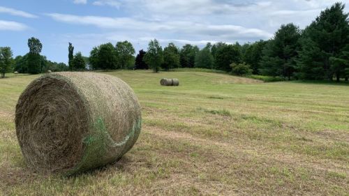 A grassy field with large hay bales scattered across, surrounded by trees under a partly cloudy sky.