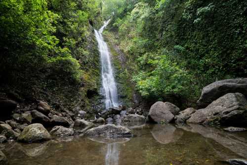 A serene waterfall cascades down a lush, green hillside into a calm pool surrounded by rocks and foliage.