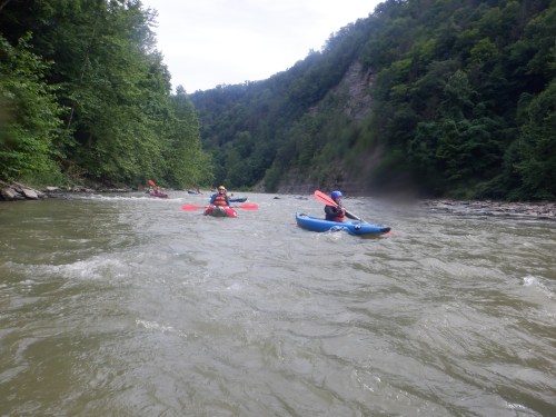 A group of kayakers paddles down a river surrounded by lush green trees and steep hills.